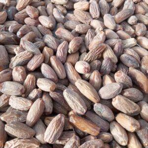DATE FRUITS PREMIUN