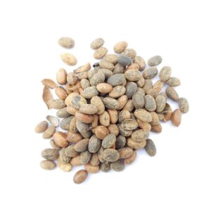 Croton (miracle seed)