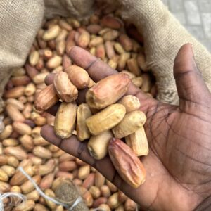 DATE FRUITS (DRIED NEW HARVEST )
