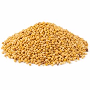 YELLOW MUSTARD SEED