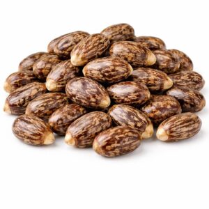 Castor Seed