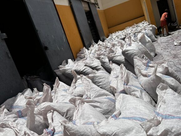 Premium Nigerian Hibiscus Flowers for Bulk Export