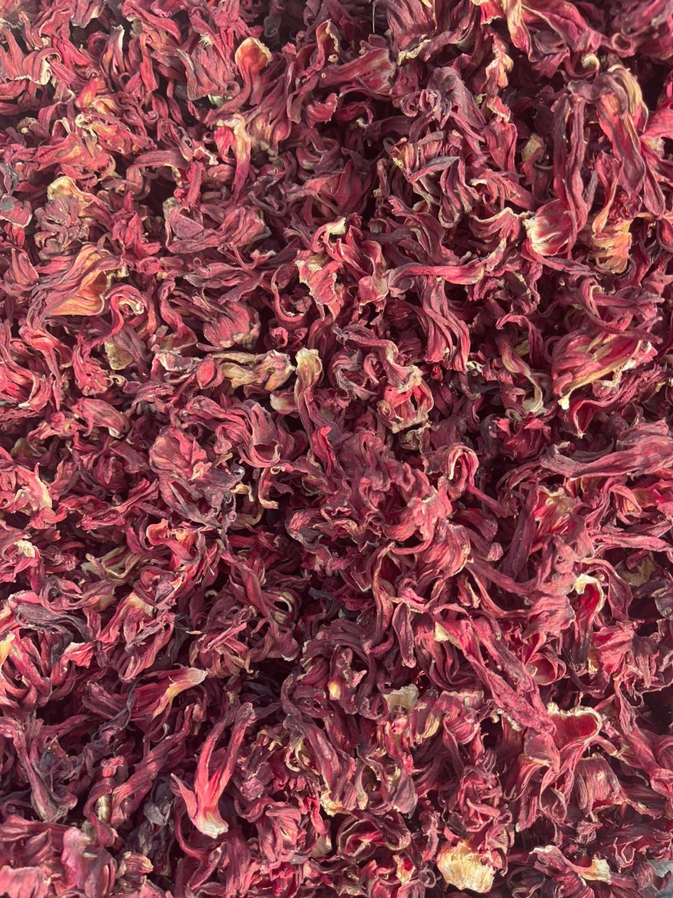 Whole Hibiscus Flower New Crops - Image 7