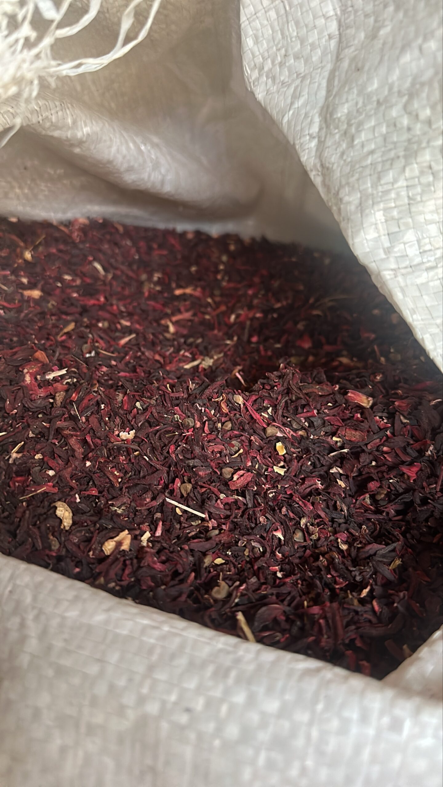 Broken Hibiscus Flower - Image 3