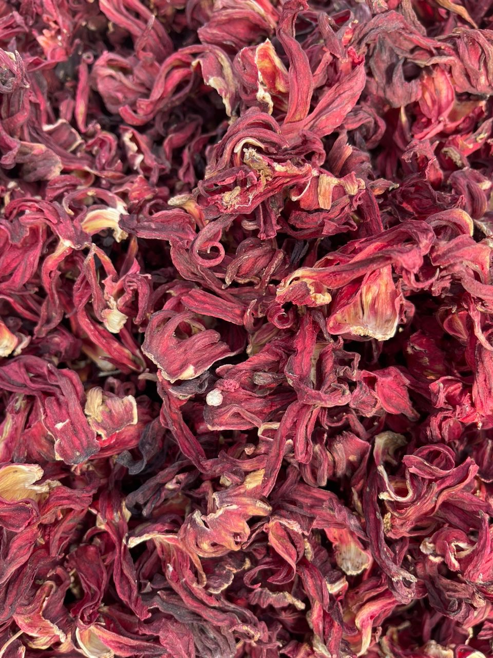 Whole Hibiscus Flower New Crops - Image 5