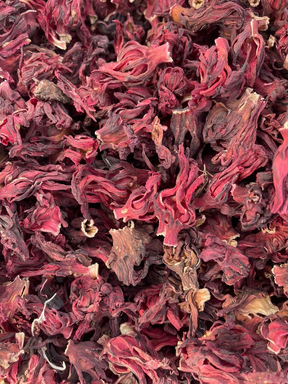 Whole Hibiscus Flower New Crops - Image 3