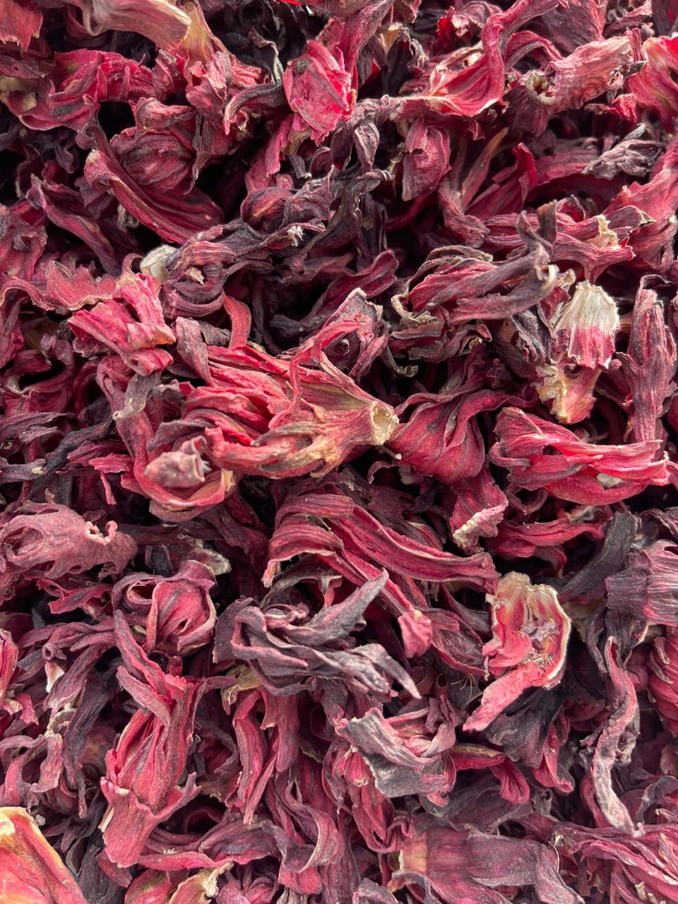 Whole Hibiscus Flower New Crops - Image 2